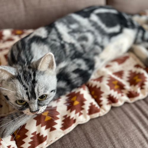 オーダーページ　レジン置物　ぐで猫 Amazon | 【子ネコ】【レジン枠】5個 ネコとお魚 レジン枠 KC金