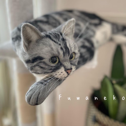 はなさま専用 羊毛フェルト 額飾り 「リアルで可愛いネコちゃん」 羊毛フェルト オーダー 額飾り「リアルで可愛いワンちゃんネコ