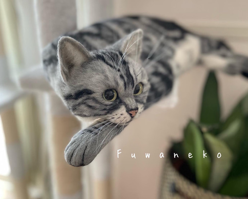 ドギーマンハヤシ 猫ちゃんの国産牛乳を使ったスープごはん