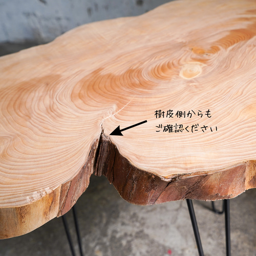 徳田製作所の輪切りの一枚板　コーヒーテーブル 輪切り一枚板コーヒーテーブル 欅の輪切り 一枚板 ローテーブル