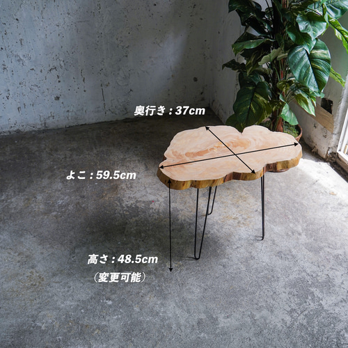 徳田製作所の輪切りの一枚板　コーヒーテーブル 欅の輪切り 一枚板 ローテーブル コーヒーテーブル | 徳田製作所