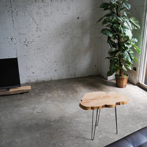 輪切り一枚板コーヒーテーブル 一枚板輪切り｜丸テーブル｜【公式】KIDOMEIMOKU オンライン