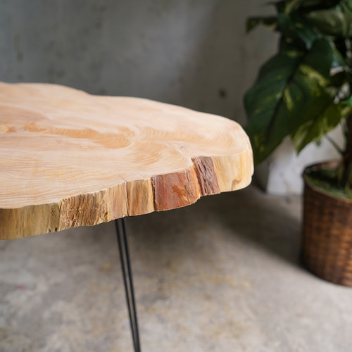 輪切り一枚板コーヒーテーブル 徳田製作所の輪切りの一枚板 コーヒーテーブル 輪切り一枚板