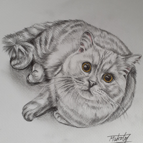 鉛筆画 猫の制作動画 - YouTube