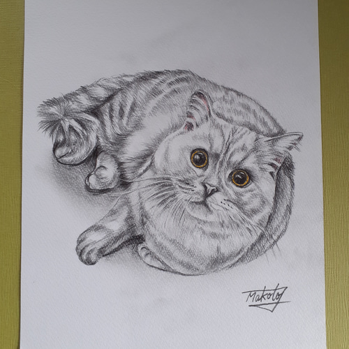 鉛筆画アート 横たわるネコ 絵画 makochin 通販 14467471