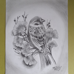 雀 すずめ スズメ 鳥 A4 鉛筆画 動物画 素人 の 絵 - メルカリ