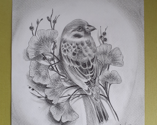 雀 すずめ スズメ 鳥 A4 鉛筆画 動物画 素人 の 絵 - メルカリ
