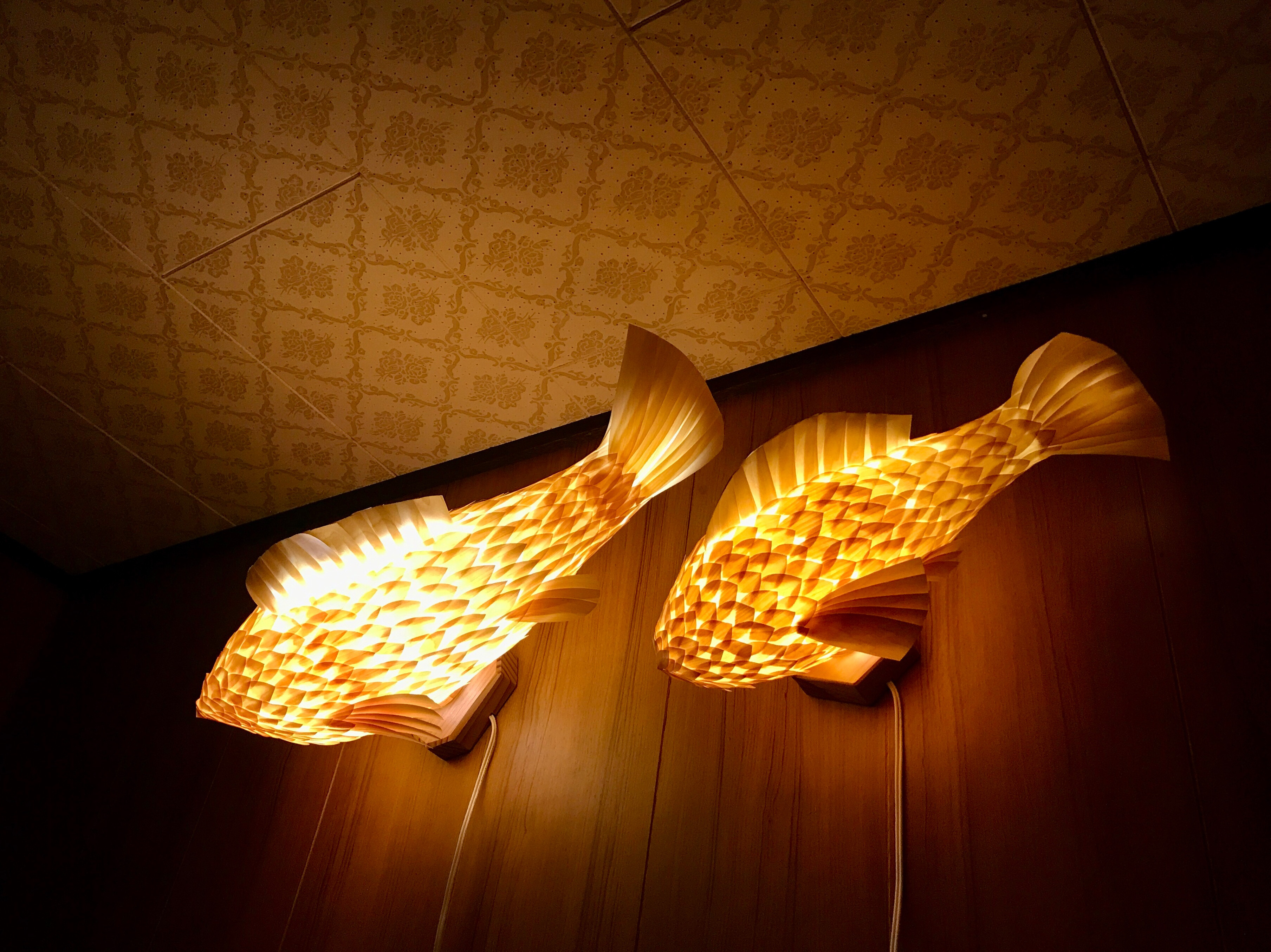 night fish （小）