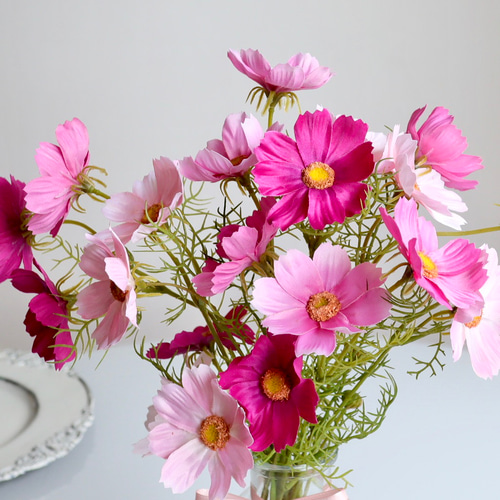 ずっと咲いてる》リボン付き花瓶3色のかわいいコスモスアレンジ／高さ