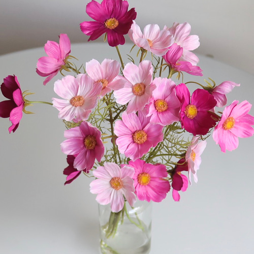 ずっと咲いてる》リボン付き花瓶3色のかわいいコスモスアレンジ／高さ