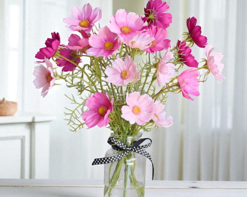 fcab5389d1ad34e84e884fc51bc24b