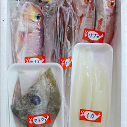 New!◆おまかせ鮮魚◆2000円～日本海のとれたて鮮魚が新鮮なまま＆下ごしらえ済で届きます♪ 5枚目の画像