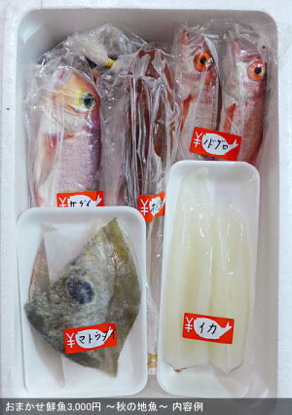 New!◆おまかせ鮮魚◆2000円～日本海のとれたて鮮魚が新鮮なまま＆下ごしらえ済で届きます♪ 5枚目の画像