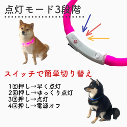 犬散歩 夜道でも安心 充電式 LEDライト首輪 ペット用品 グッズ モチーフ 柴犬 ネックレス 4枚目の画像