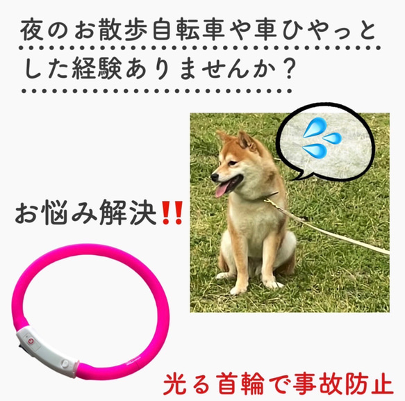 犬散歩 夜道でも安心 充電式 LEDライト首輪 ペット用品 グッズ モチーフ 柴犬 ネックレス 2枚目の画像