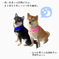 犬散歩 夜道でも安心 充電式 LEDライト首輪 ペット用品 グッズ モチーフ 柴犬 ネックレス 7枚目の画像