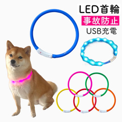 犬散歩 夜道でも安心 充電式 LEDライト首輪 ペット用品 グッズ モチーフ 柴犬 ネックレス 1枚目の画像