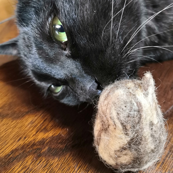 羊毛フェルトの猫のおもちゃ　ちょっと大きい猫ボール　茶トラ白 8枚目の画像