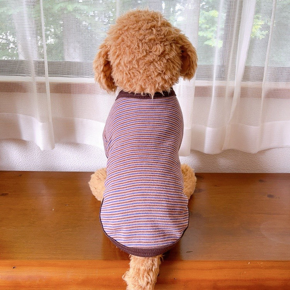 犬服　ボーダーTシャツ　すくみピンク 6枚目の画像