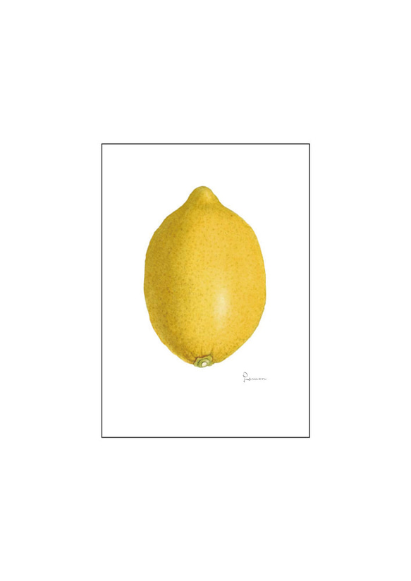 レモンのヴィンテージポスター、檸檬、シンプルキッチン、北欧スタイルキッチン、古民家のキッチンにも【A-0104】 12枚目の画像