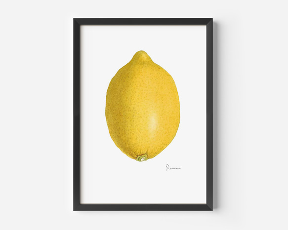 レモンのヴィンテージポスター、檸檬、シンプルキッチン、北欧スタイルキッチン、古民家のキッチンにも【A-0104】 3枚目の画像