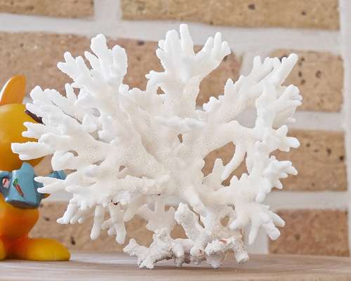 aca42f07f41129eada107573a70a81