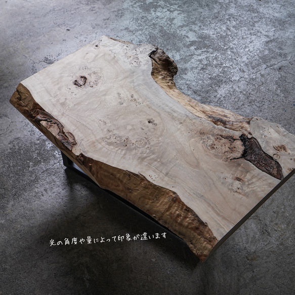 存在感のある巨大なイチョウの一枚板 ローテーブル 4枚目の画像