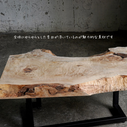 存在感のある巨大なイチョウの一枚板 ローテーブル 10枚目の画像
