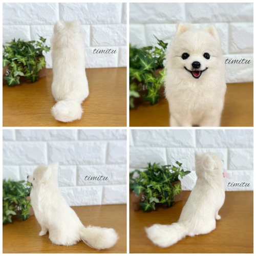 【J】羊毛フェルト　ポメラニアン　　ぬいぐるみ　おまかせ 羊毛フェルトで作るポメラニアンぬいぐるみ | TikTok