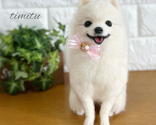 羊毛フェルト ポメラニアンちゃんのパピーちゃん　笑顔タイプ hq720.jpg?sqp=-