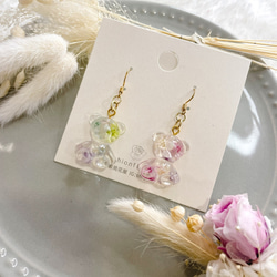 プリザーブドフラワーと熊のオーダーメイドピアス/イヤリング 6枚目の画像