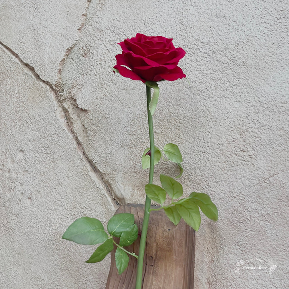 ベルの真っ赤なバラ 2枚目の画像