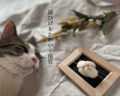 オーダーメイド】可愛く猫ひげ保存アイテム 立体・オブジェ ふわねこ