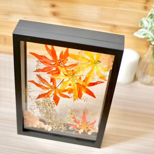 紅葉オーダーページ INFOBAR xv用壁紙 | 紅葉｜ INFOBARの最新情報はこちら