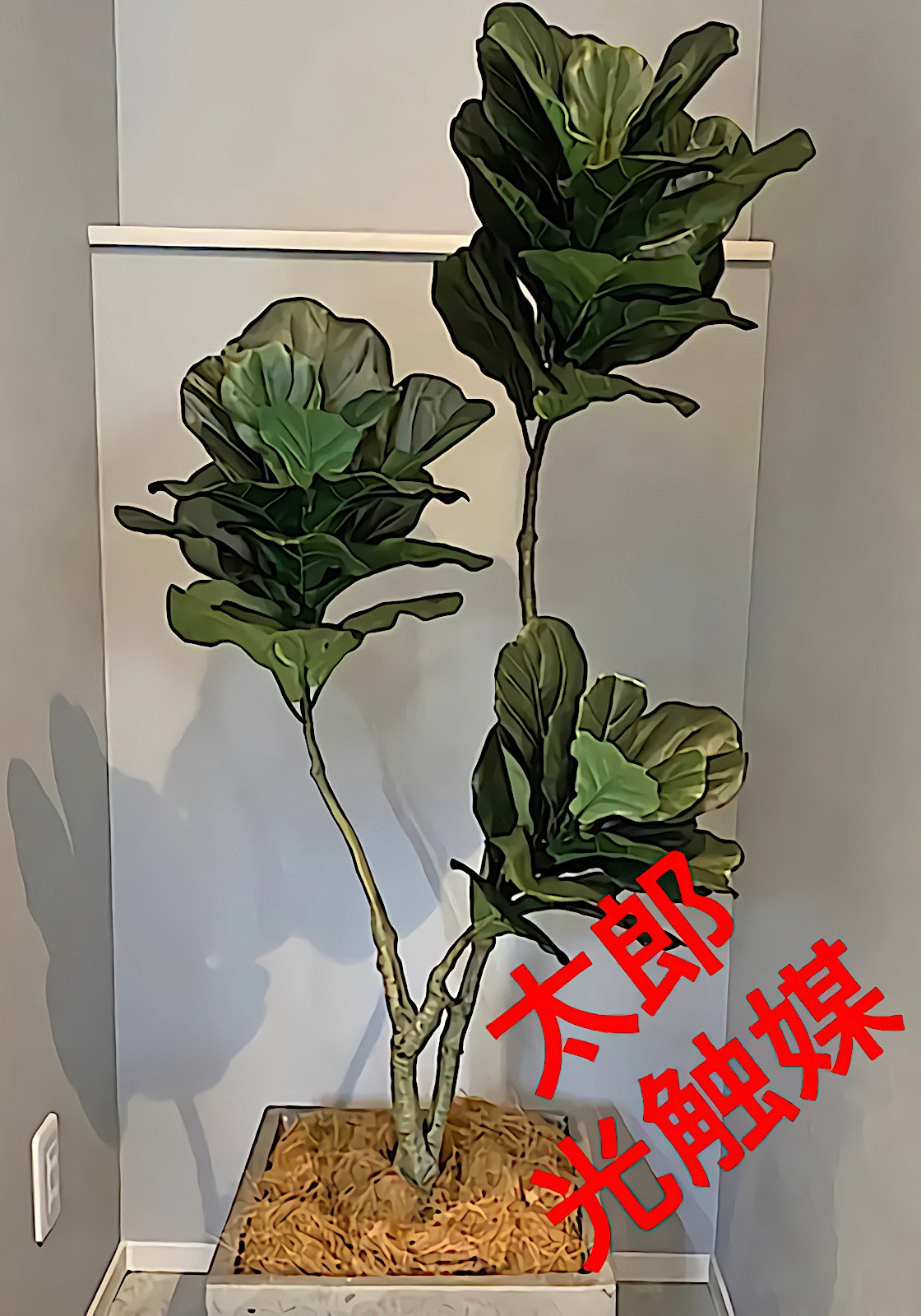 光触媒　人工観葉植物　ウォールグリーン　フェイク　フラワー　カシワバゴム145