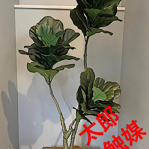光触媒 人工観葉植物 ウォールグリーン フェイクグリーン ベンジャミン