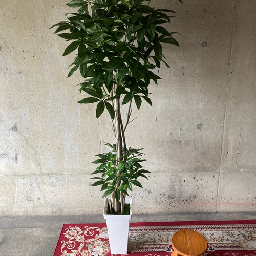 光触媒 人工観葉植物 ウォールグリーン フェイク フラワー パキラ176