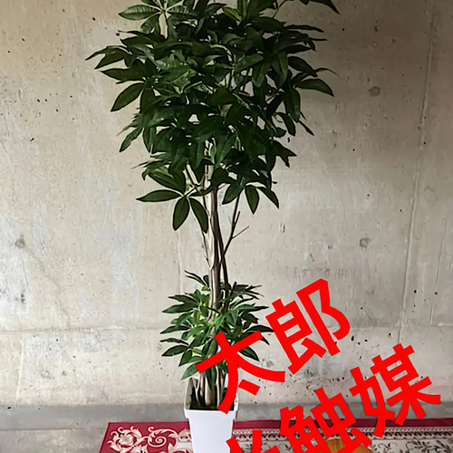 光触媒 人工観葉植物 ウォールグリーン フェイク フラワー パキラ176