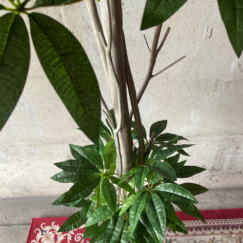 光触媒　人工観葉植物　ウォールグリーン　フェイクグリーン　パキラエレガンス200 光触媒 人工観葉植物 ウォールグリーン フェイクグリーン パキラ下葉