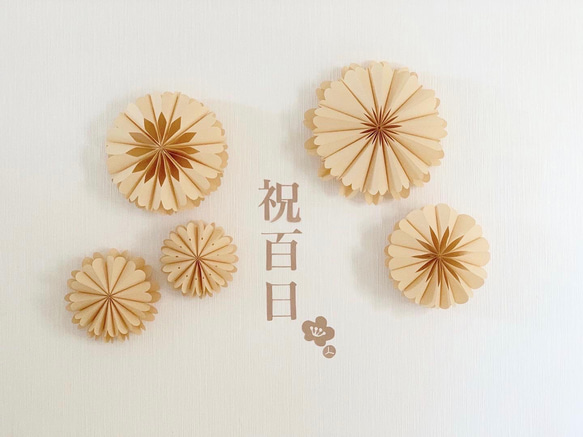ペーパーファン お食い初め 祝百日 100日祝い 百日祝い 100日 ハーフ 