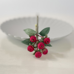 布花赤い実がキュートなヒペリカムのブローチ 11枚目の画像