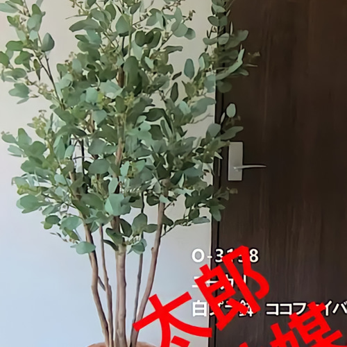 光触媒 人工観葉植物 造花 フレッシュ細葉ユーカリ1.7 (高さ