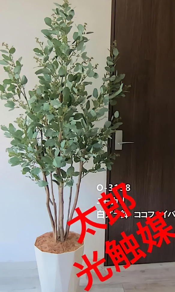 光触媒　人工観葉植物　ウォールグリーン　フェイクグリーン　カシワバゴム180