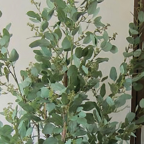 光触媒　人工観葉植物　ウォールグリーン　フェイクグリーン　アルテシマ1.2m