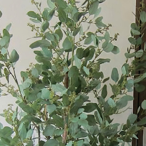 光触媒 人工観葉植物 ウォールグリーン フェイク フラワー ユーカリ180 ... 光触媒 人工観葉植物 ウォールグリーン フェイクグリーン アルテシマ1.2m