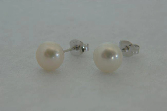 淡水パール　直結式ピアス ホワイト 1枚目の画像