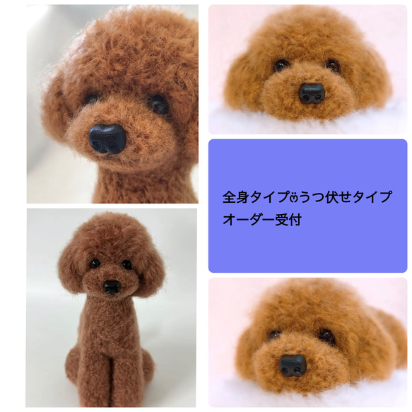 ハンドメイド　オーダー受付ページ　　♡色々トイプードル　パネル♡① トイプードル限定❤︎オーダー受付ページ おもちゃ・ペット小物 Green
