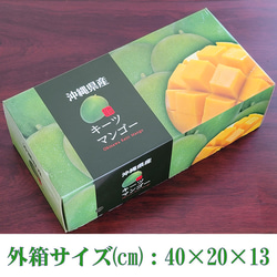 キーツ マンゴー 約2kg(2〜3玉) 沖縄県 ギフト プレゼント お取り寄せ グルメ 送料無料 お中元 フルーツ 果物 7枚目の画像