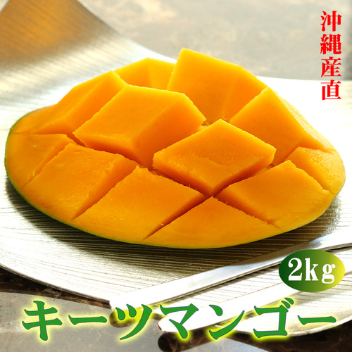 キーツ マンゴー 約2kg(2〜3玉) 沖縄県 ギフト プレゼント お取り寄せ