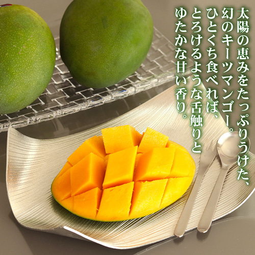 キーツ マンゴー 約2kg(2〜3玉) 沖縄県 ギフト プレゼント お取り寄せ